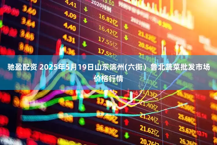 驰盈配资 2025年5月19日山东滨州(六街）鲁北蔬菜批发市场价格行情